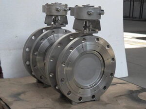 High Performance Butterfly Valve