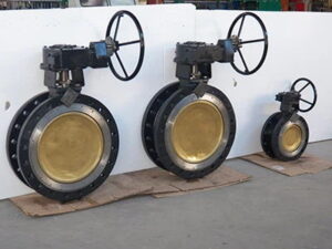 High Performance Butterfly Valve